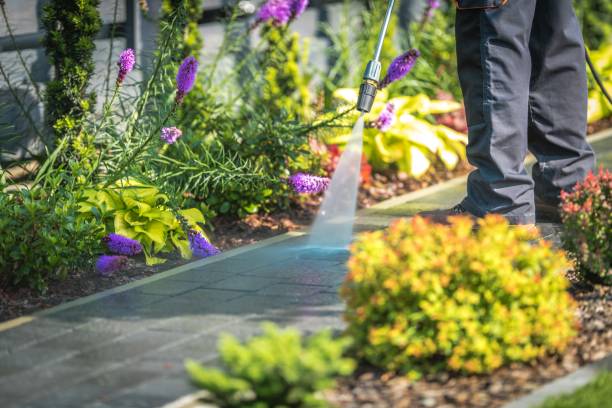Professional Pressure Washing in Seminole, FL